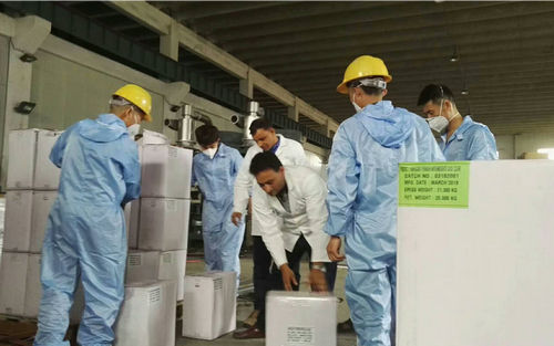 廣東客戶的高.端邦定機出廠測試